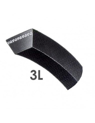CORREA 3L 474