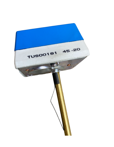 TERMOSTATO TERMO